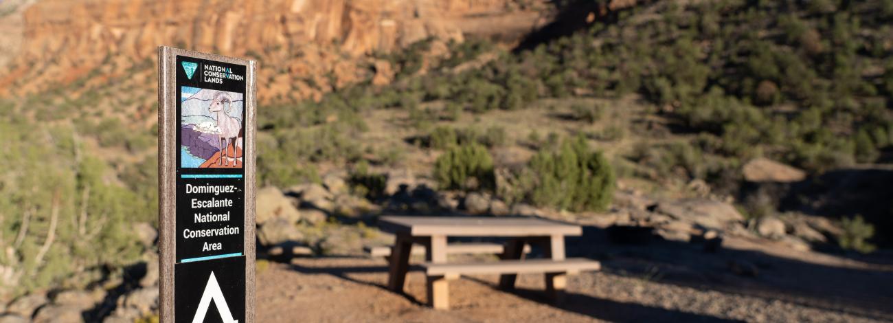 Photo of campsite at Dominguez-Escalante National Conservation Area with picnic bench