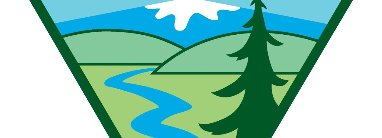 BLM logo