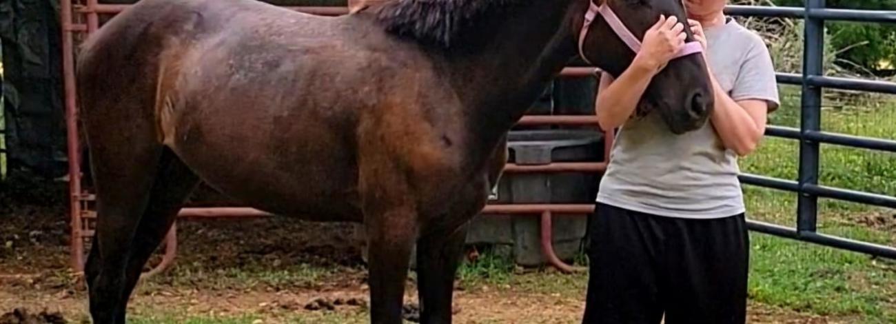 person embracing a horse