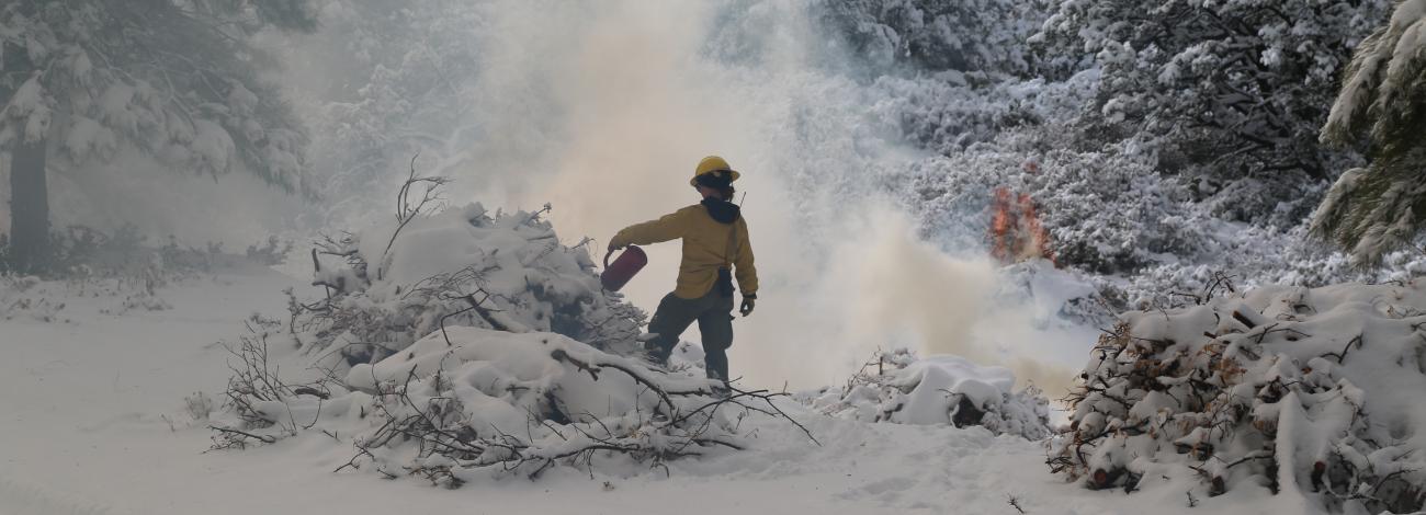 Firefighter ignites burn pile.