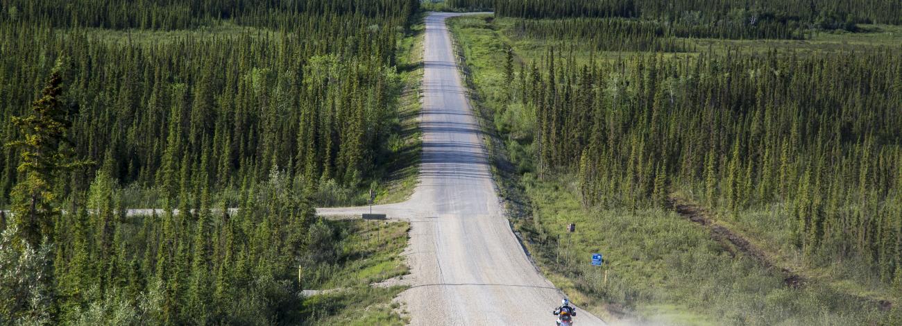 Motorcycle in the distance on gravel road surrounded by spruce forest