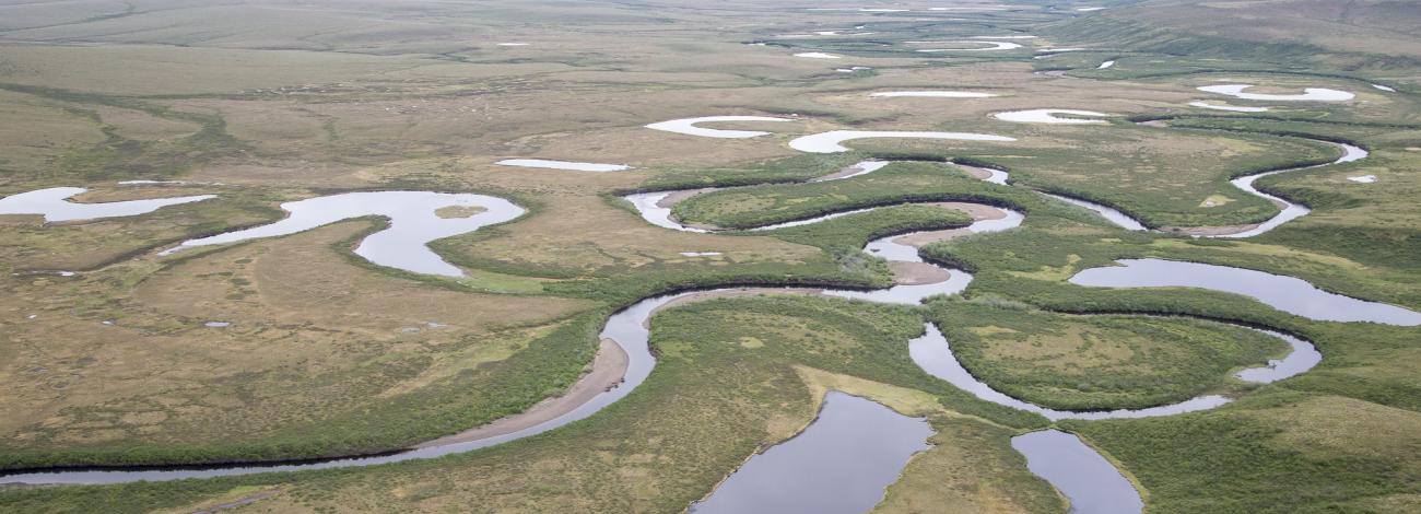 Rivers wind through flat, grassy land.