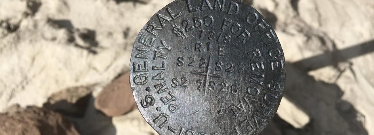 survey stake
