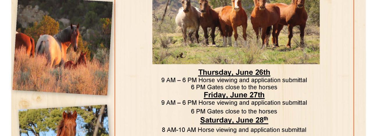 2025 Grand Junction Wild Horse Adoption Flyer