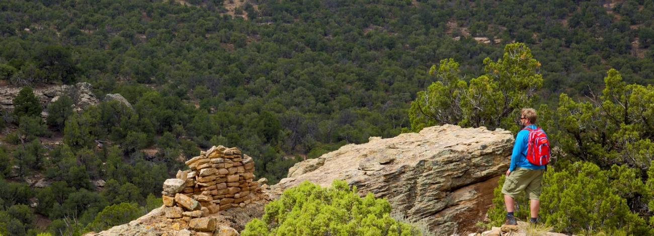 Hiker with a backpack looks over a scenic vista
