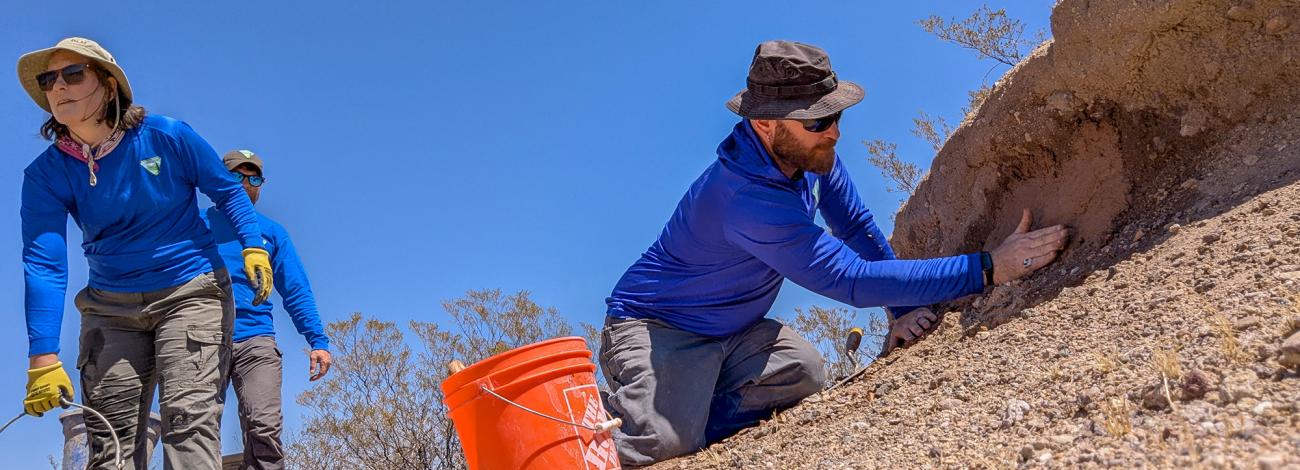 BLM employee Ralph Burrillo applies a fresh coat of mud to the adobe wall while BLM employee Theresa Condo hauls more mud. They are both wearing hats and blue long sleeve shirts.