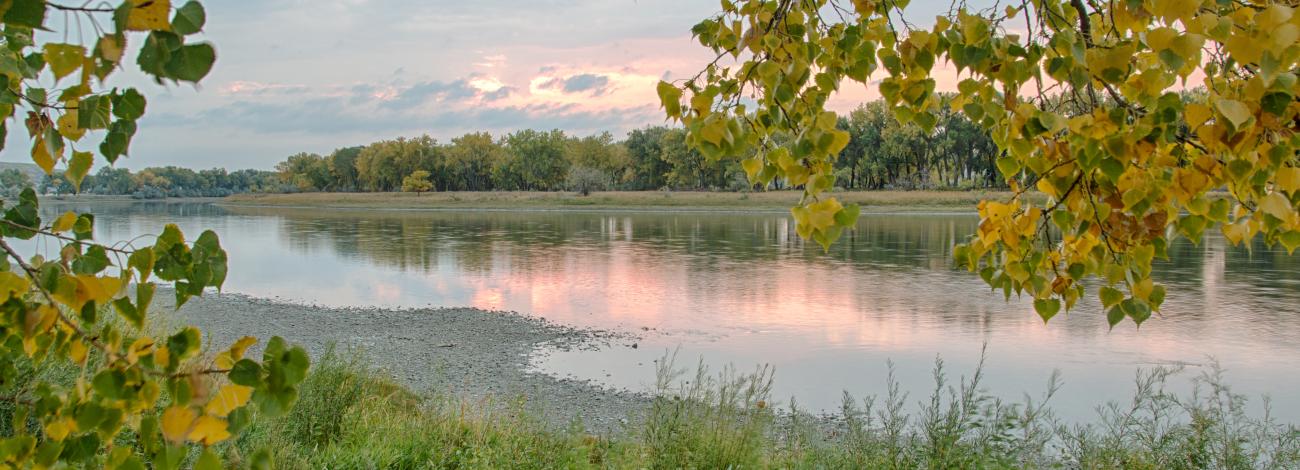 Pink light on serene river surrounded by trees and grasses.