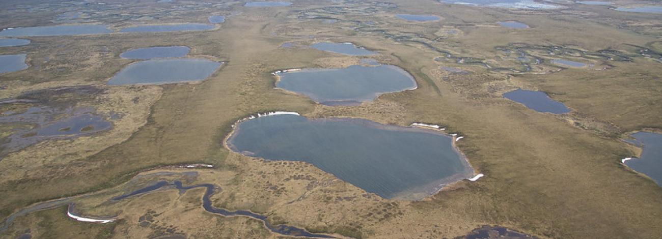 Aerial photo of lakes and rivers on the tundra landscape in the Northeast National Petroleum Reserve in Alaska.