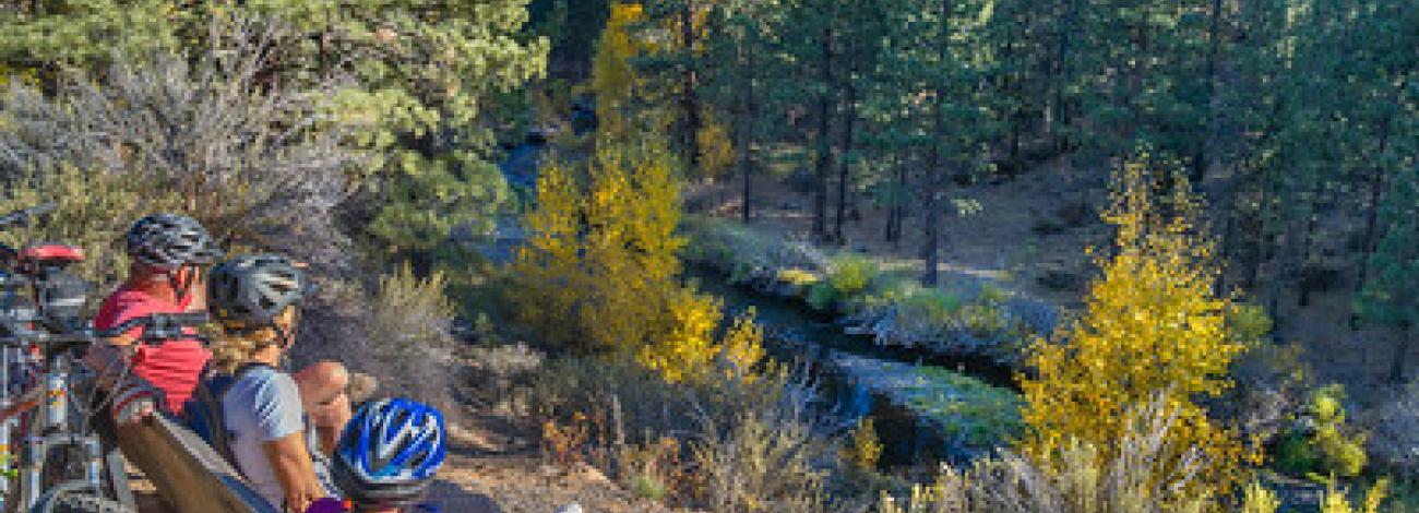 A family takes a break from a bike ride to sit at a bench and watch a creek in a forest.