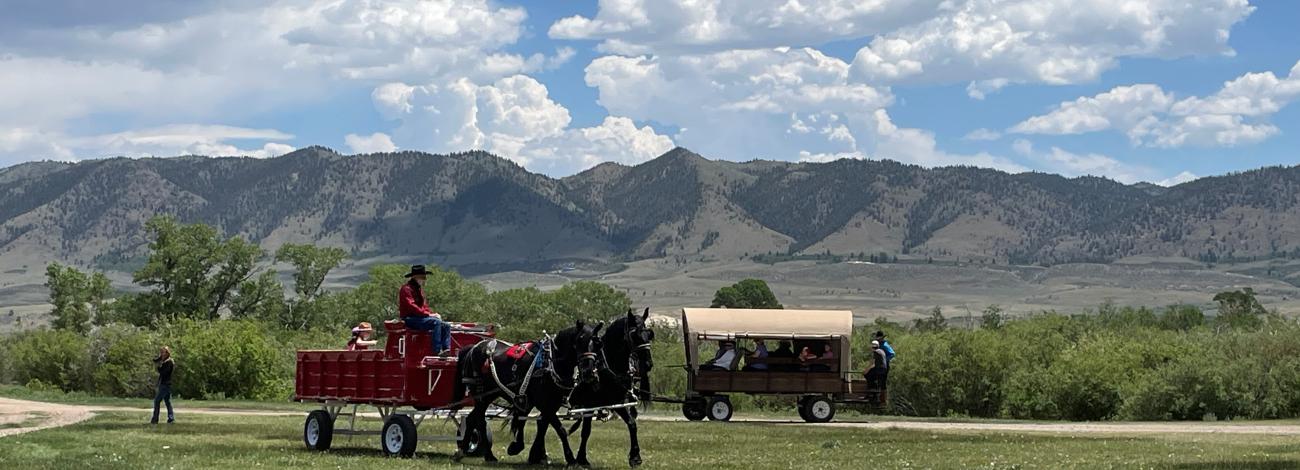 Community members enjoyed a day of learning, connection, and celebration during the BLM’s wild horse and burro adoption event at Deerwood Ranch Public Off-Range Pasture on June 14, 2025. 