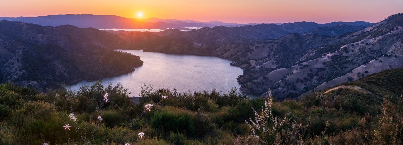 A sunset over a lake with white flowers in the foreground