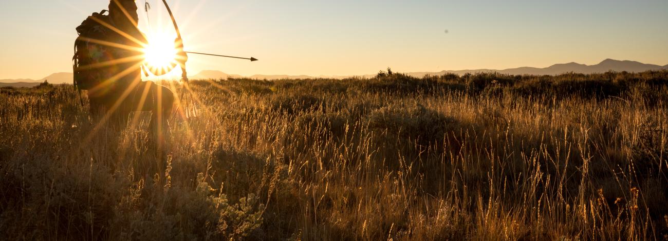 A photo of a person with a bow and arrow on public lands, backlit by the sun.