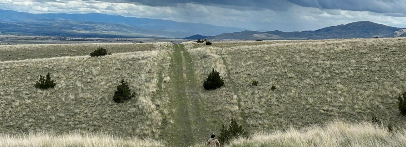 A photo of a large sprawling landscape.