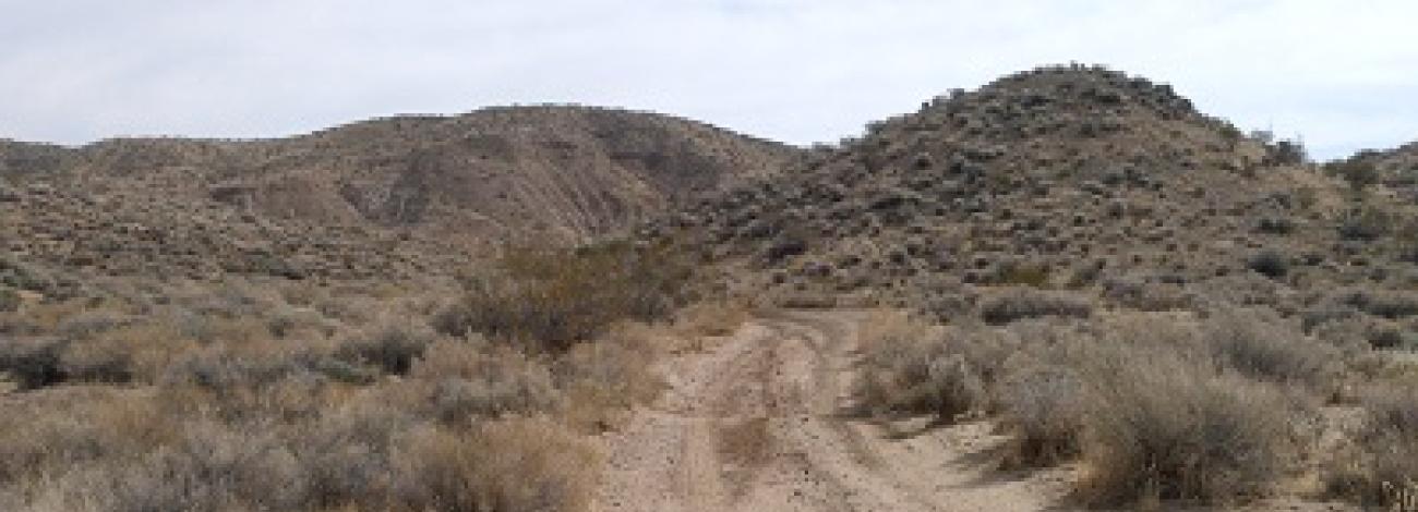A dirt road into desert hills