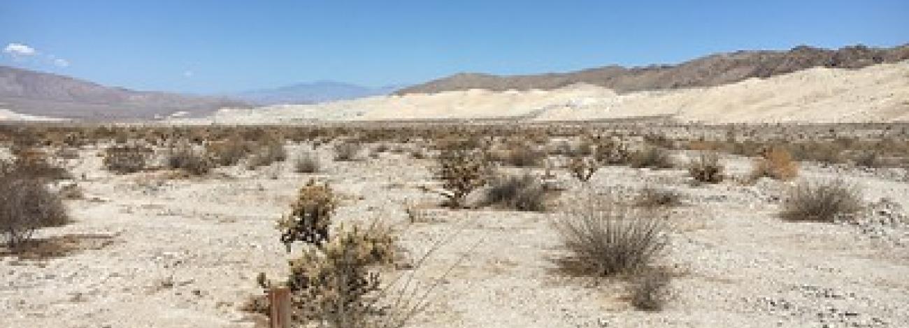 A white desert landscape with mountains in the background and a mining claim stake in the foreground.