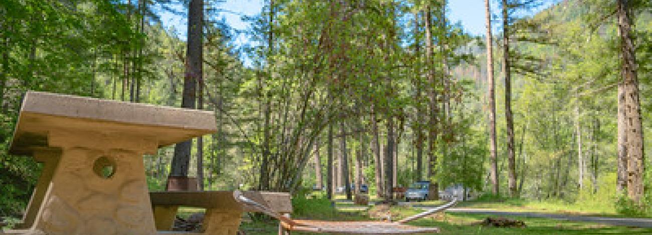 A fire pit and and picnic table in a forest campground.