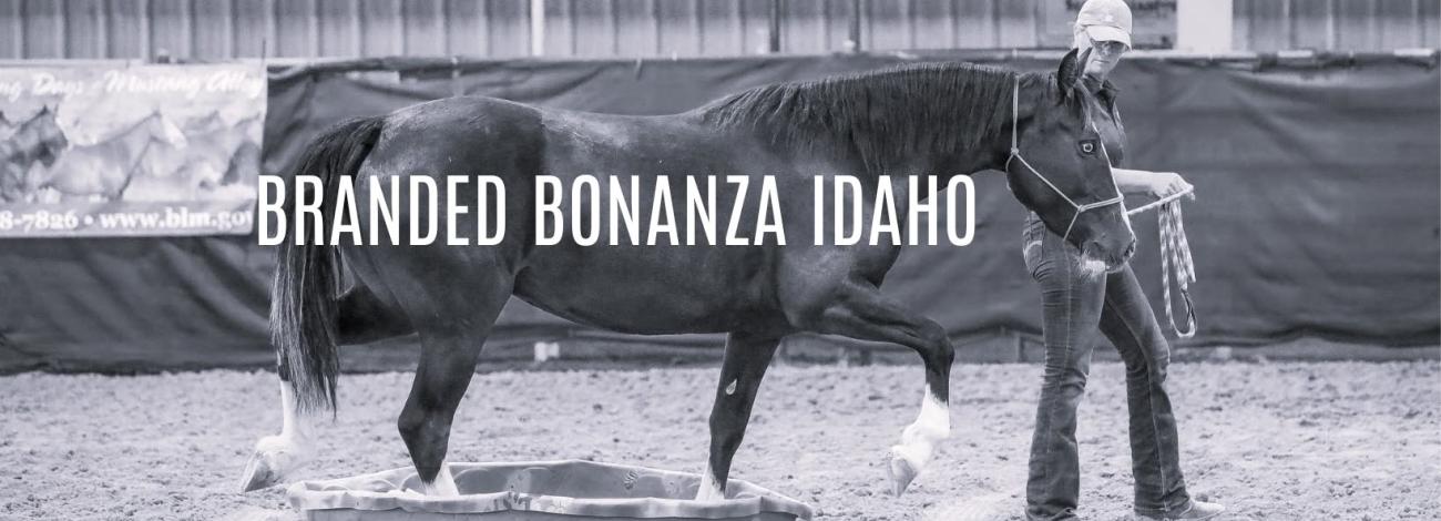 A competitor leads her trained wild horse through a Branded Bonanza Trail Challenge