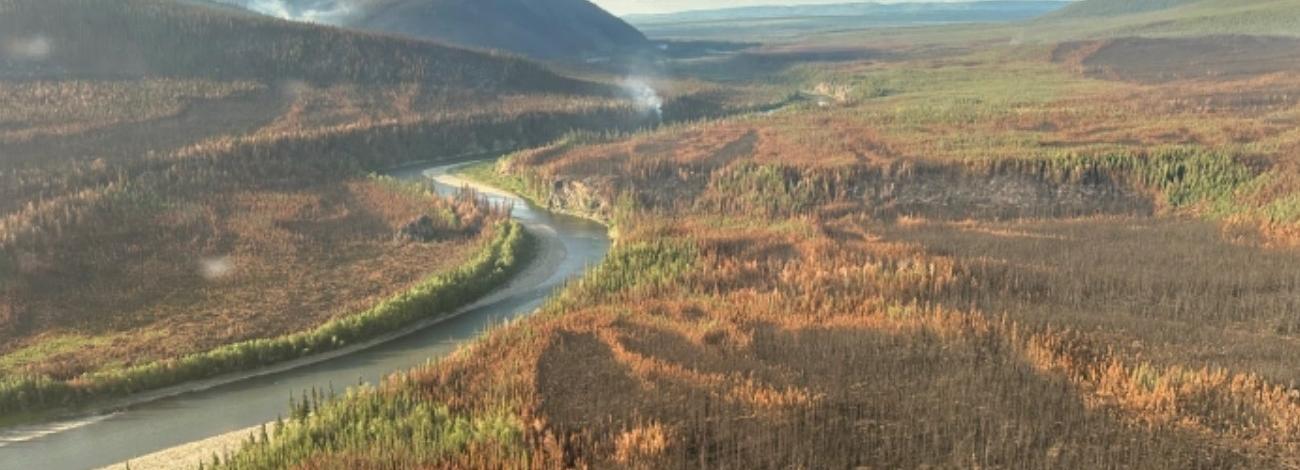 Photo of Birch Creek Wild and Scenic River winding through a burn.