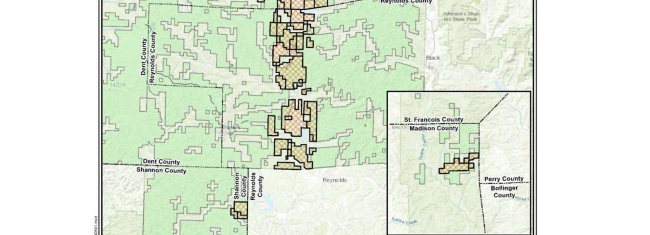 Map detailing the Doe Run Company's mining lease area and USFS ownership for the environmental assessment in southeastern Missouri.