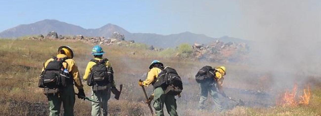 Fire crews from CDIFP treat public land in Lake Mathews-Estelle Mountain with RX burn
