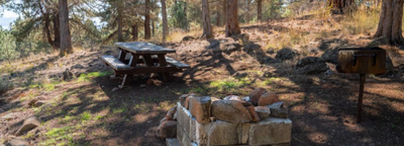 A picnic table and fire pit at a campground in a forest.