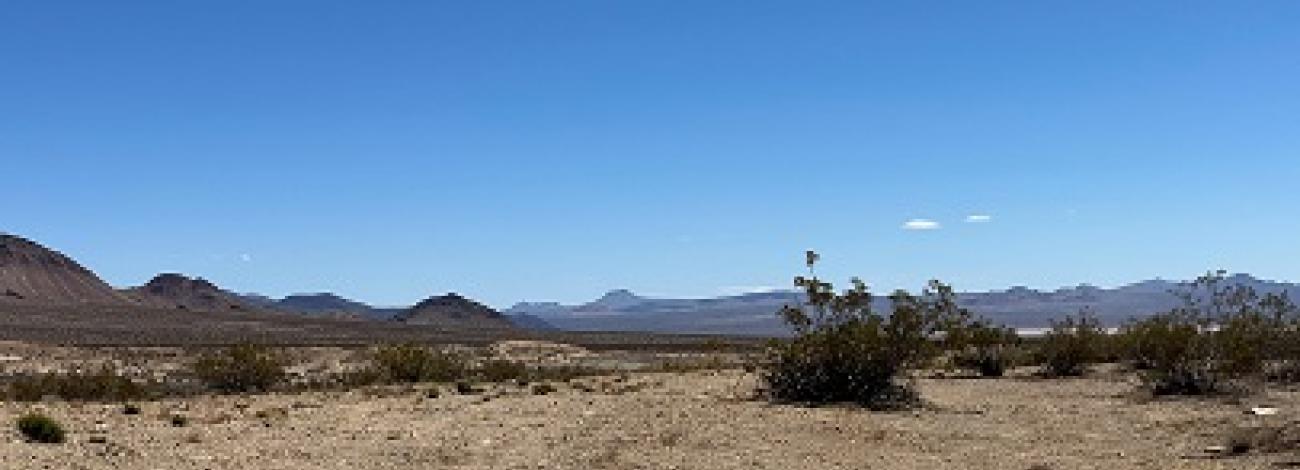 A desert landscape with distant mountains