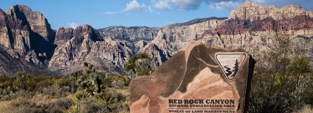 A sandstone sign reading "Red Rock Canyon National Conservation Area - Bureau of Land Management" stands in front of red and orange-striped rock formations and yucca plants under a blue sky with white clouds.