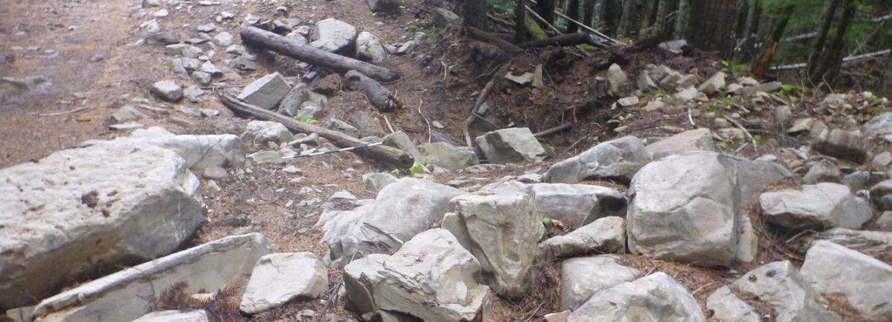 Large rocks and debris in a forested path