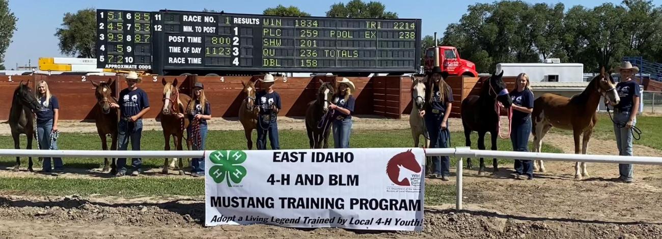 East Idaho 4-H and BLM mustang training program participants