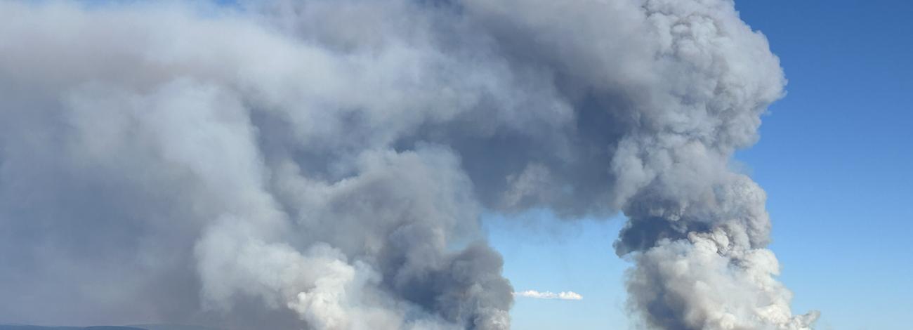 two plumes of smoke from wildfires on sagebrush and pinyon pine covered landscapes cover a blue sky in white and gray smoke