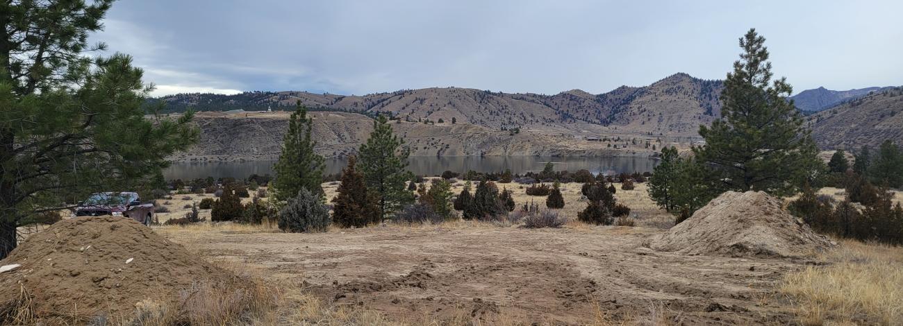 Grassy area with trees in the background.