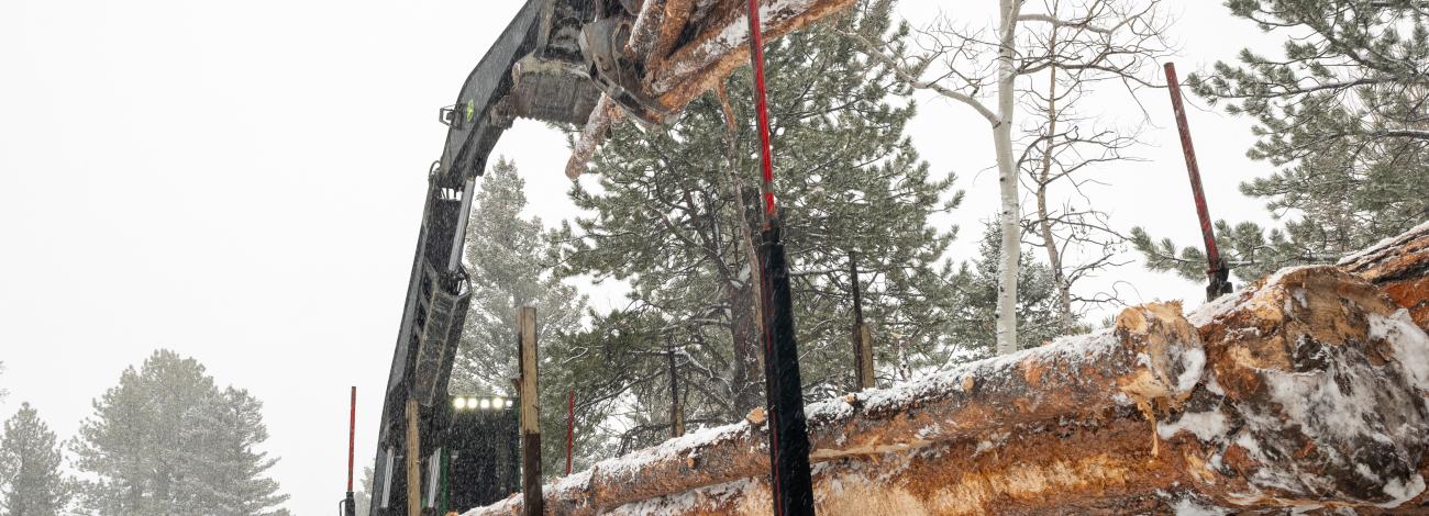 Contractors load salvage timber from Poncha Pass on to a truck to be processed at local mills.