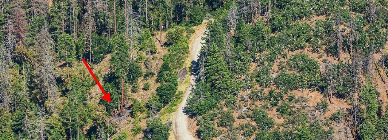 Aerial image of the Lick Gulch Fire