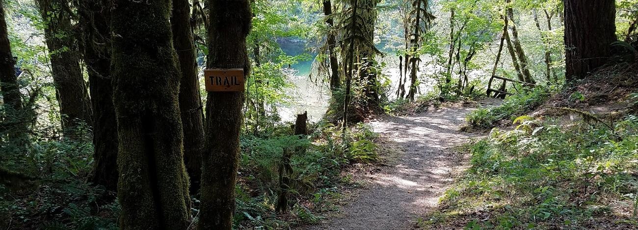 trail to Quartzville Creek at Yellowbottom Recreation Site