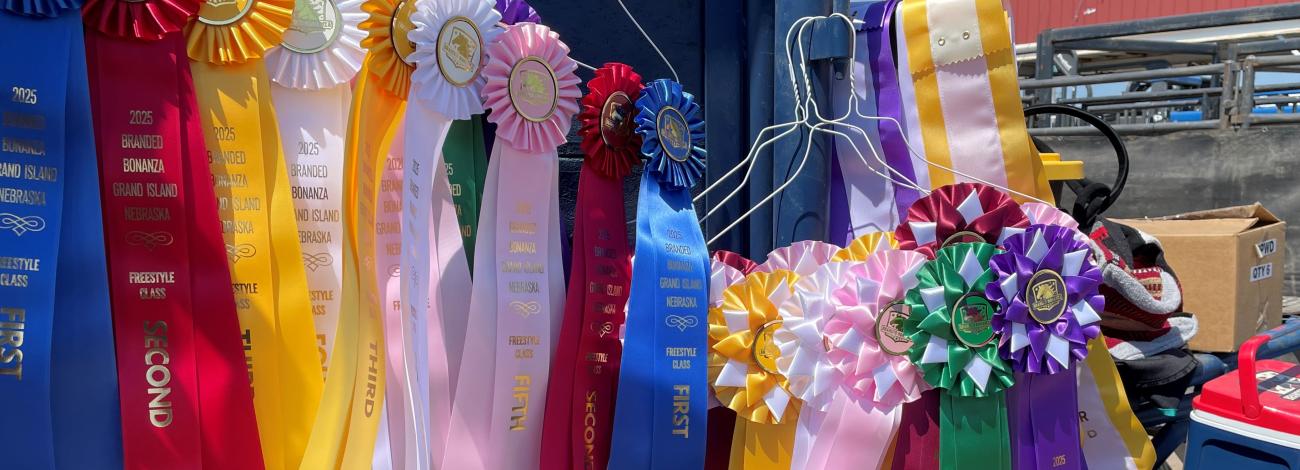 Winner ribbons on display in a colorful array at Forever Branded Bonanza at the Nebraska State Fair 