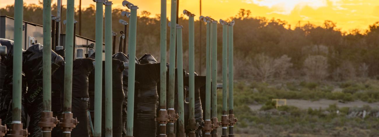 A row of wellheads stands silhouetted against a sunset sky, birds soar above a landscape of trees and shrubs.