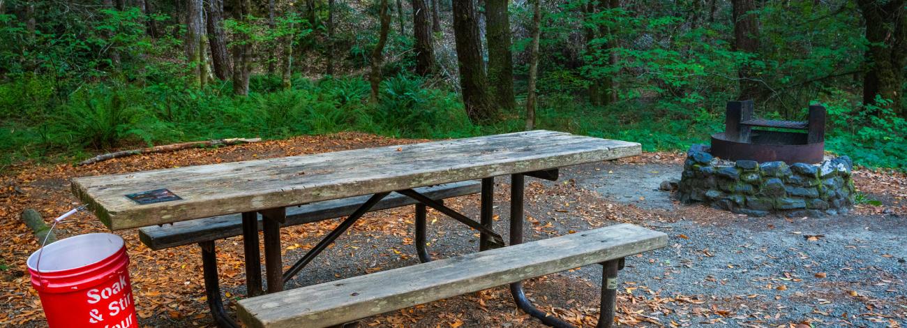 A rustic wooden picnic table with benches sits in a forest campsite, next to a red bucket labeled “Soak & Stir Your Fire” and a stone-ringed metal fire pit. The area is surrounded by tall trees and lush green ferns, with fallen leaves scattered on the ground.