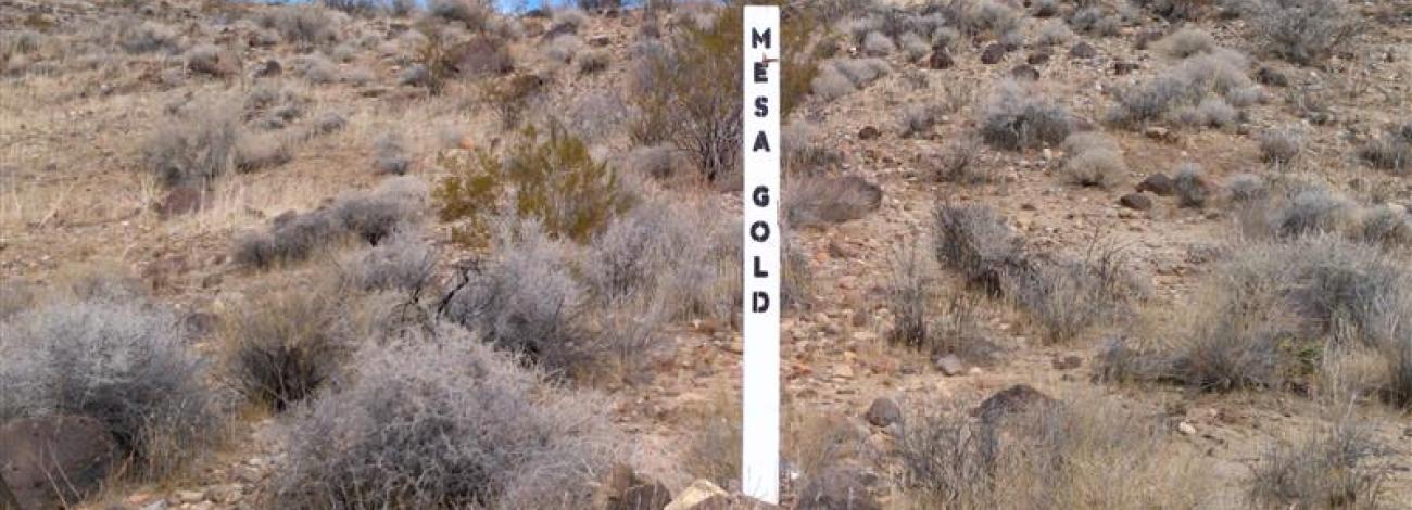 A white wooden claim marker stands upright in a desert landscape, surrounded by dry grasses, rocks, and scattered shrubs.