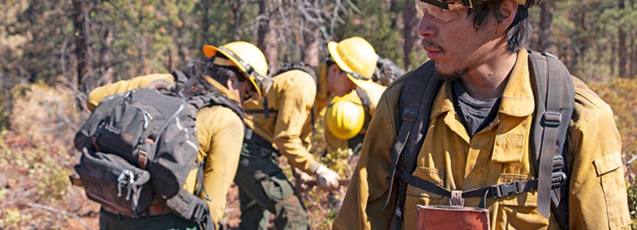 A firefighter walks among a forest with other firefighters digging dirt in the background.