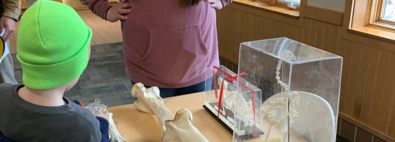 Standing around a table with exhibits of skulls and bones, an archaeologist shares information with a child in a bright green hat.