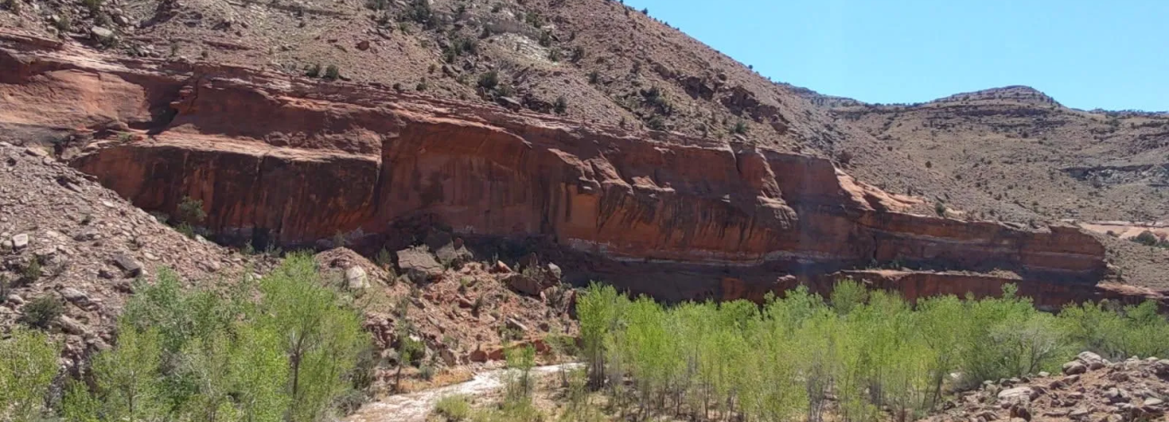 Photo of a portion of Escalante Creek within the Dominguez-Escalante National Conservation Area managed by the BLM Colorado Grand Junction Field Office.