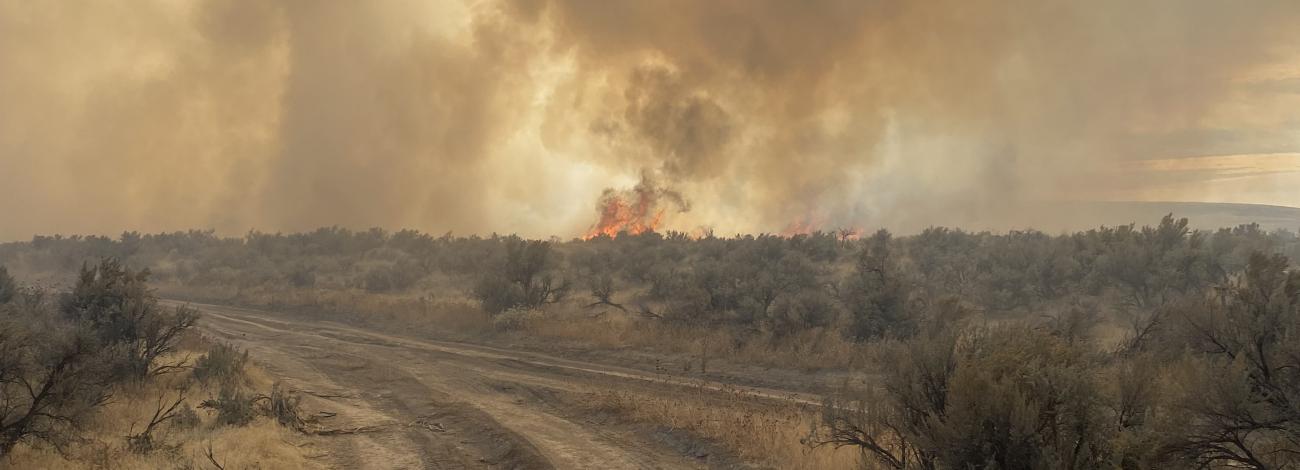 Fire and smoke with blazing sun and dirt trail in foreground.
