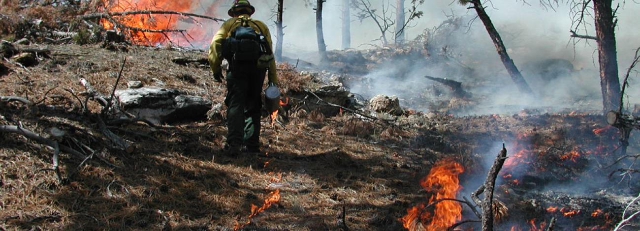BLM-WY-PrescribedFire