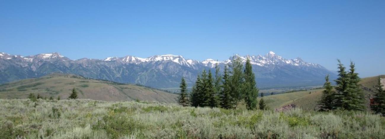Landscape view of the Snake River land parcels with mountains and trees with a blue sky.