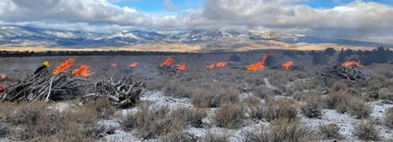 Piles of brush burning in the high desert with snow.