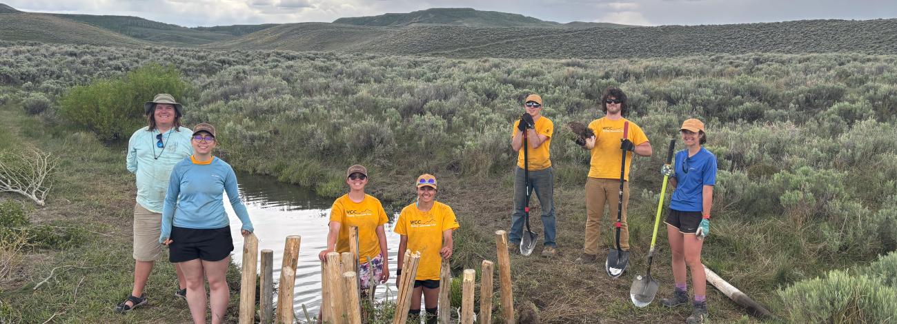 BLM WY staff and WY Conservation Corp crew pose for a photo during the restoration project at Muddy Creek in WY.