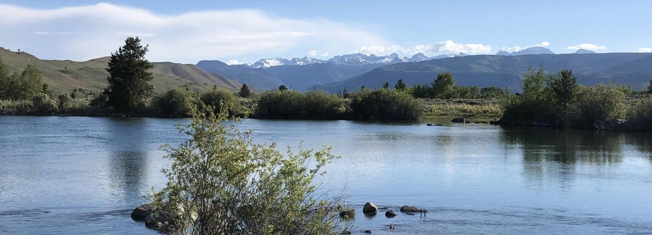 landscape view of CCC Ponds in Pinedale with a blue sky