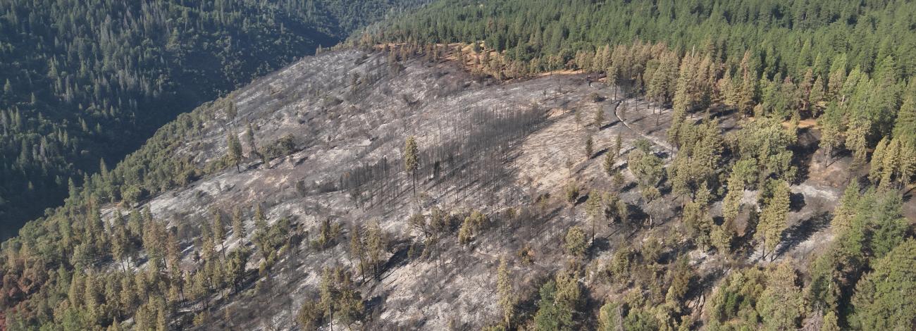 Aerial photo of the Tiger Fire with the Tiger Creek Fuel Break at the top of the ridge