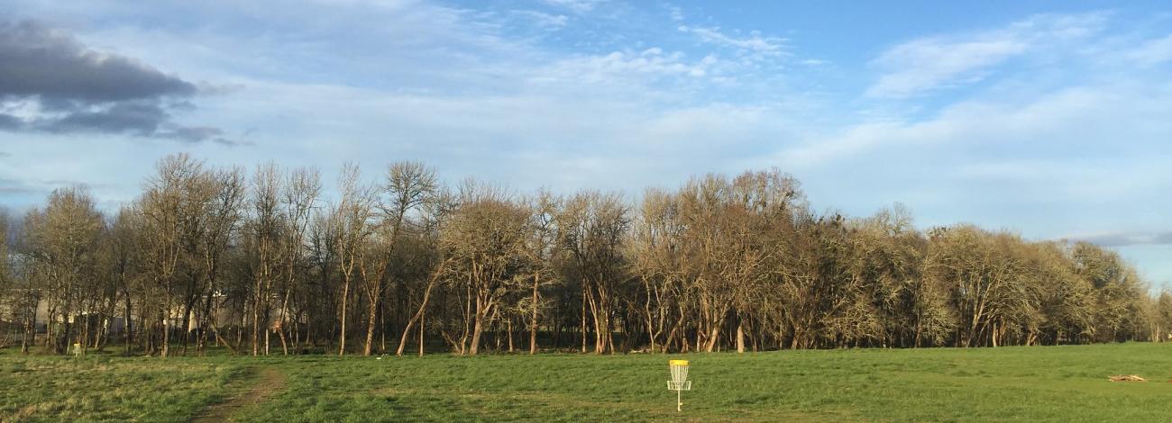 Stewar Pond Disc Golf Course