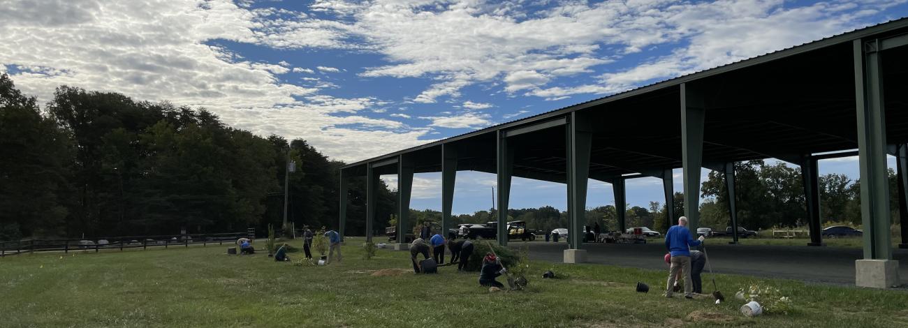 Volunteers planting trees in a field next to a covered shelter. 